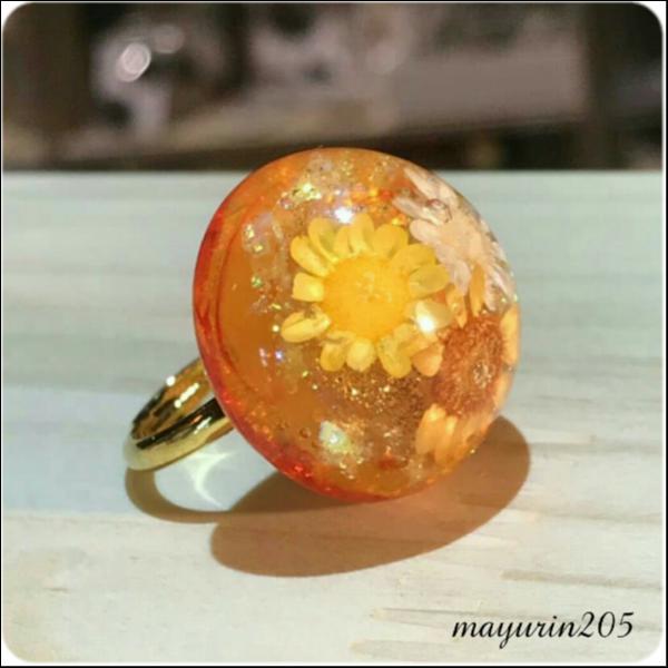 水中花「高嶺の花」