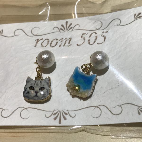 ネコのピアス 海