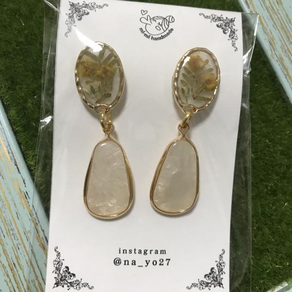 ミモザのシェルピアス
